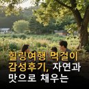 자연과 하루 | 힐링여행 먹걸이 감성후기, 자연과 맛으로 채우는 여유로운 하루