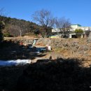 유포석보 이미지