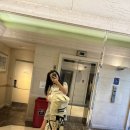 하와이 | 오아후 | Royal Kunia Country Club, 가성비 골프장, 로얄쿠니아CC, 로얄쿠니아 예약 방법...