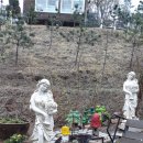 정원펜션민박 이미지