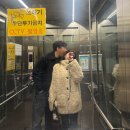 남천1-201 | 생일 기념 2박3일 부산 여행 2탄 ♥ | 루프트 맨션 · 로우 앤 스위트 베이커리 · 부평 깡통시장...