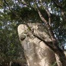 화흥초등학교 이미지