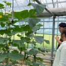 서천변로 이미지