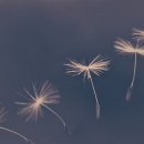 수호행정사사무소 이미지