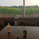 레이지템플 이미지