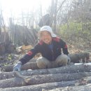 어질농장 이미지