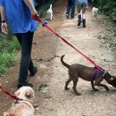 룰루랄라 이미지