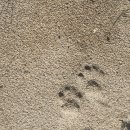 영자네민박 이미지