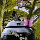 ♥ 낮잠 (midday / nap)♥ 낮잠 (midday / nap)ㅡ누구에게나 유익한 건강 정보입니다. 이미지