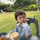 장성닭집 이미지