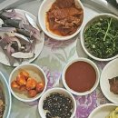 오늘자연산회