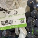 벙글다
