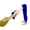 요가&필라테스Ⅱ 이미지