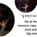 발레베리떼 이미지