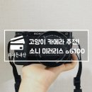 ㈜동일이엔에스(울산남구점) | [내돈내산] 가성비 좋은 미러리스 소니a6100, 고양이 카메라 추천(구입후기/개봉기/스트랩 매는 법)