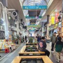 서귀포매일올레시장 | 제주 여행 필수 코스! '서귀포매일올레시장' 구경 후기