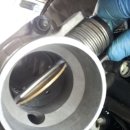 가락카센타 이미지