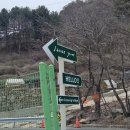 범곡천 | 경주 조용한 벚꽃명소카페 산내그로브