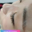 더시크라인