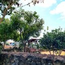 청수동 작업실 이미지