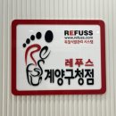 레푸스계양
