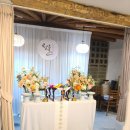 들풀 담소 이미지