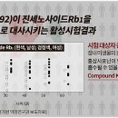 케이로 이미지