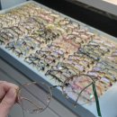 아이젠트리 포항이동점 이미지