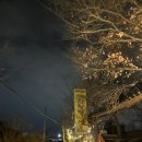 [안산맛집] 전현무계획 한우맛집 “사랑방” 방문 후기 대만족 추천
