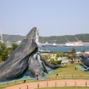 고래등 - 남동구 | 고래등