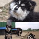 누나농장 이미지