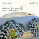 푸른솔 이미지