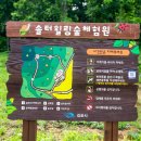 솔터힐링 숲체험원 이미지