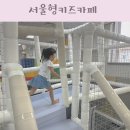 꿈사랑방지역아동센터 | 서울형 키즈카페 예약 사이트 요금 제기동점 방문기