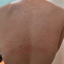 미강빌딩 이미지