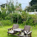 펫비스트로 이미지