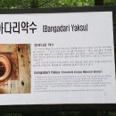 삼일여행