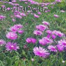 사랑보다 정이 더 무섭다 이미지