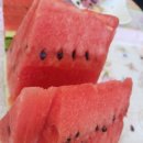 평택뉴스타공인중개사사무소 이미지