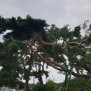 사매면 인화마을 이미지