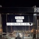 부산요트투어준
