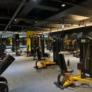 타이거 휘트니스 이미지