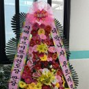 푸르미르태권도장 이미지