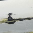 SM7 하단 스테프 수리 후기