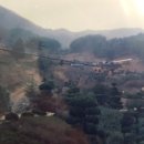 시암골 농장 이미지