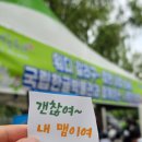 서동마실 | 2026 제24회 부여서동연꽃축제 혼자 다녀온 솔직 후기