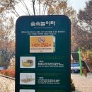 서울숲 숲속놀이터 화장실 이미지