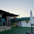 폴인80 | [대구] 야외애견카페 폴인80 리뉴얼 방문 후기