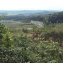 무성산성 이미지