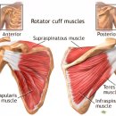 KOREA PT(코리아 피티) 이미지